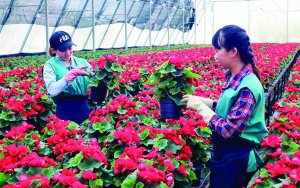 Tạo dựng người n&ocirc;ng d&acirc;n thế hệ mới trong kinh tế n&ocirc;ng nghiệp v&agrave; hội nhập ph&aacute;t triển