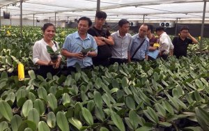 Vai tr&ograve; &ldquo;bốn nh&agrave;&rdquo; trong ứng dụng khoa học v&agrave; c&ocirc;ng nghệ v&agrave;o n&ocirc;ng nghiệp