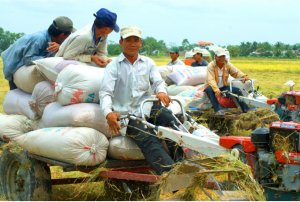 N&ocirc;ng nghiệp l&agrave; trụ cột, sao đầu tư c&ocirc;ng chỉ đ&aacute;p ứng 30% nhu cầu?