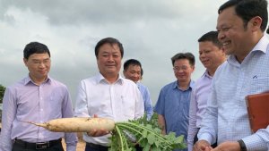 T&acirc;n Bộ trưởng N&ocirc;ng nghiệp c&oacute; ph&aacute; được nghịch l&yacute; `được m&ugrave;a rớt gi&aacute;`, `giải cứu n&ocirc;ng sản`?