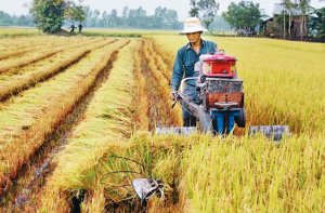 Ch&iacute;nh s&aacute;ch chuyển giao c&ocirc;ng nghệ trong n&ocirc;ng nghiệp qua hoạt động khuyến n&ocirc;ng