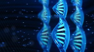 Sự s&ocirc;́ng kh&ocirc;ng như chúng ta bi&ecirc;́t: Tạo ra sinh v&acirc;̣t bán t&ocirc;̉ng hợp đ&acirc;̀u ti&ecirc;n với DNA có 3 cặp base