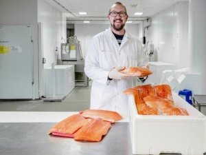 L&agrave;m lạnh si&ecirc;u tốc trước khi vận chuyển c&oacute; thể tiết kiệm 143 triệu euro cho ng&agrave;nh c&aacute; hồi