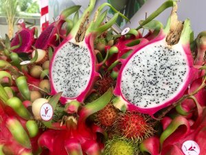Gi&aacute; xo&agrave;i, thanh long, chuối tại ĐBSCL tăng nhẹ trong th&aacute;ng 8 
