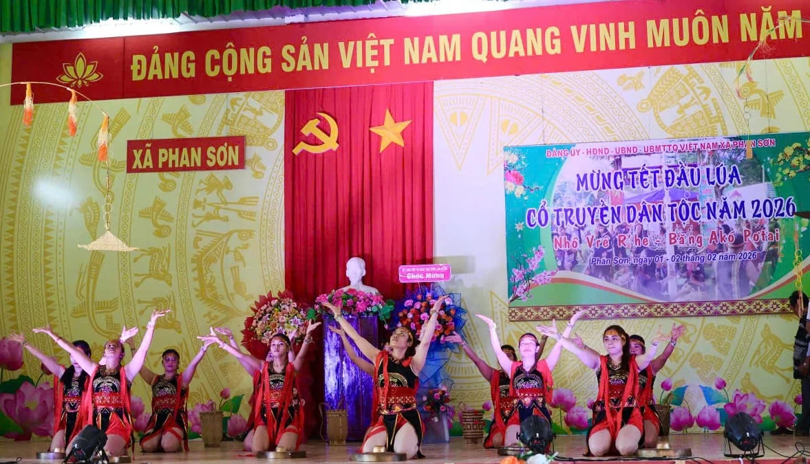 L&uacute;a mẹ Phan Sơn hồi sinh, v&agrave;o chuỗi hữu cơ 