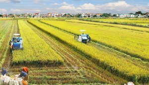 Bốn điểm s&aacute;ng của ng&agrave;nh n&ocirc;ng nghiệp