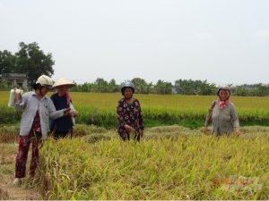 Th&agrave;nh c&ocirc;ng từ c&aacute;c giải ph&aacute;p phi c&ocirc;ng tr&igrave;nh
