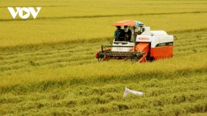 N&ocirc;ng nghiệp vượt qua "nguy cơ k&eacute;p" hướng đến thị trường mới