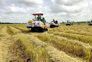 Tăng tốc sản xuất, giữ gi&aacute; thực phẩm