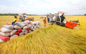 Thế mạnh tỷ USD của Việt Nam tăng tốc, vượt Th&aacute;i Lan