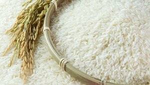 Kim ngạch xuất khẩu gạo 8 th&aacute;ng đầu năm 2019 giảm gần 13%