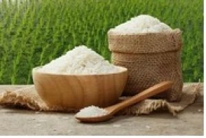 Gi&aacute; l&uacute;a gạo h&ocirc;m 14/10: Tăng 100 đồng/kg với OM 5451