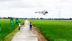 N&ocirc;ng nghiệp đ&ocirc; thị - Diện t&iacute;ch nhỏ, gi&aacute; trị cao