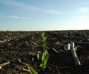 Máy cảm biến đất Veris giúp người nông dân những gì? 