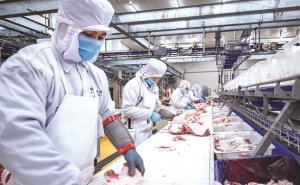 Thịt heo b&agrave;y thế trận cạnh tranh trong EVFTA