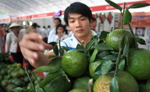 Việt Nam đứng thứ 2 khu vực về tiềm năng phục hồi ng&agrave;nh n&ocirc;ng nghiệp thực phẩm 