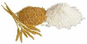 Thị trường NL TĂCN thế giới ng&agrave;y 2/12: Gi&aacute; l&uacute;a m&igrave; tăng