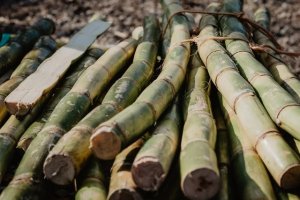 Ng&agrave;nh m&iacute;a đường Việt Nam - Nguồn cung đường tỷ lệ nghịch với nhu cầu ti&ecirc;u thụ