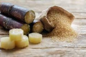 Gi&aacute; đường năm 2023 đang trở về gi&aacute; trị thực