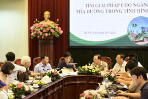 Nhập khẩu đường ch&iacute;nh ngạch tăng gấp 7 lần c&ugrave;ng kỳ