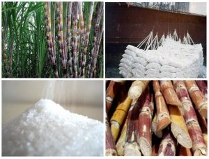 Thế giới tiếp tục đối mặt với t&igrave;nh trạng dư cung đường trong ni&ecirc;n vụ 2017/2018