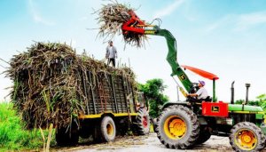 Doanh nghiệp m&iacute;a đường đang ph&aacute;t &ldquo;sốt&rdquo; với ATIGA 