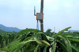 IoT trong n&ocirc;ng nghiệp: Giải th&aacute;ch thức chi ph&iacute; đầu tư