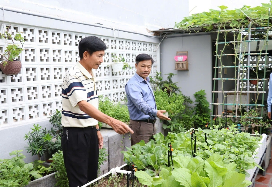 M&ocirc; h&igrave;nh n&ocirc;ng nghiệp đ&ocirc; thị: Giải ph&aacute;p xanh cho TP.Hồ Ch&iacute; Minh
