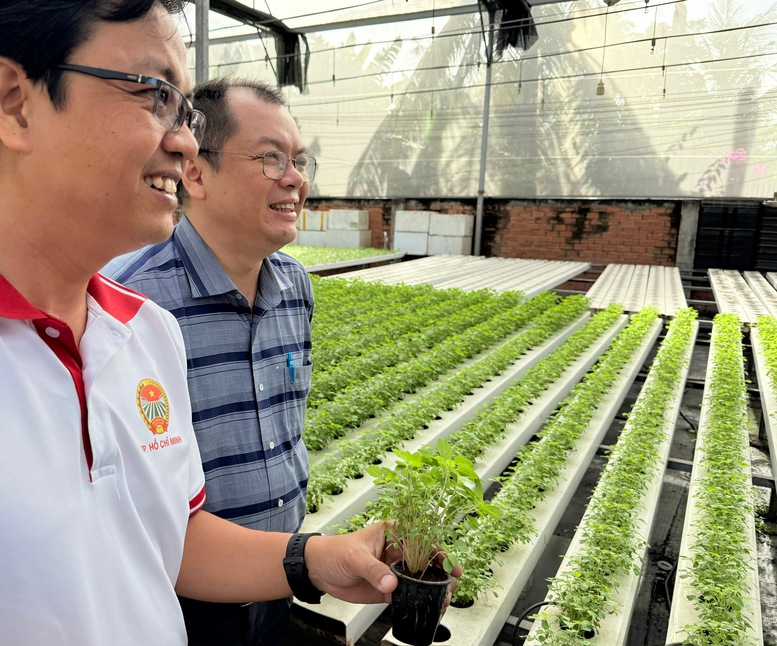 Mở rộng c&aacute;nh cửa sản xuất rau an to&agrave;n cho n&ocirc;ng hộ nhỏ