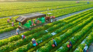 Ph&aacute;t triển hệ thống logistics n&ocirc;ng nghiệp, n&ocirc;ng th&ocirc;n nhằm g&oacute;p phần th&uacute;c đẩy tăng trưởng n&ocirc;ng nghiệp Việt Nam bền vững