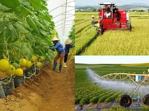Mối quan hệ giữa ph&aacute;t triển kinh tế tập thể v&agrave; x&acirc;y dựng n&ocirc;ng th&ocirc;n mới trong tiến tr&igrave;nh hiện đại h&oacute;a ở Việt Nam