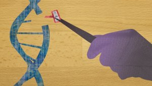 Bỏ qua CRISPR, MAGESTIC là c&ocirc;ng cụ bi&ecirc;n t&acirc;̣p gen nhẹ nhàng hơn