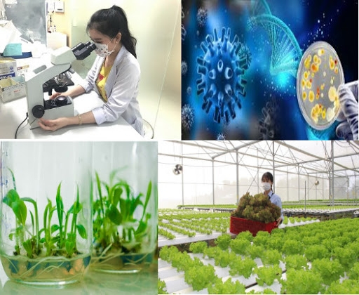Năm 2028, sẽ c&oacute; bộ chỉ ti&ecirc;u thống k&ecirc; c&ocirc;ng nghệ sinh học phục vụ ph&aacute;t triển