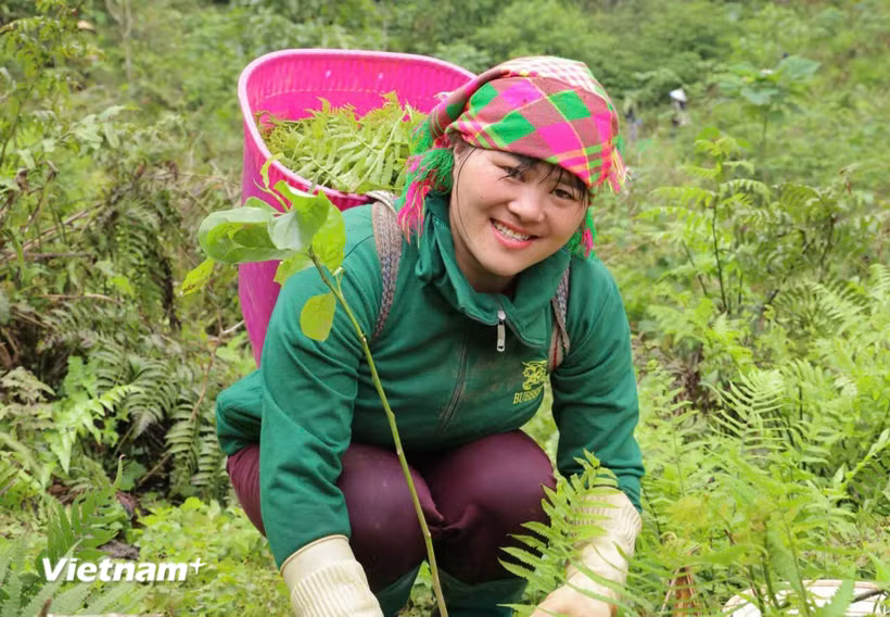 N&acirc;ng năng suất lao động quốc gia: H&igrave;nh th&agrave;nh &ldquo;n&ocirc;ng d&acirc;n chuy&ecirc;n nghiệp, n&ocirc;ng d&acirc;n số" 