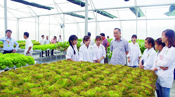 N&acirc;ng tầm n&ocirc;ng nghiệp: N&acirc;ng chất v&agrave; giữ ch&acirc;n nh&acirc;n lực