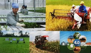 Trang bị cho n&ocirc;ng d&acirc;n kỹ năng sản xuất v&agrave; tư duy kinh tế 