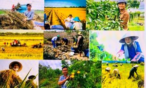 Th&uacute;c đẩy "tri thức ho&aacute; n&ocirc;ng d&acirc;n"