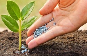 Gi&aacute; 7 loại ph&acirc;n b&oacute;n đồng loạt tăng