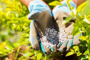 N&ocirc;ng d&acirc;n thế giới `oằn m&igrave;nh` v&igrave; gi&aacute; ph&acirc;n b&oacute;n tăng cao