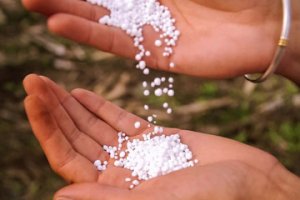 Gi&aacute; hai loại ph&acirc;n b&oacute;n lập kỷ lục mới
