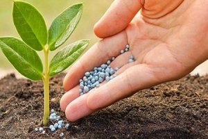 Gi&aacute; ure tăng hơn 11% trong th&aacute;ng 3, photpho v&agrave;ng giảm 6%