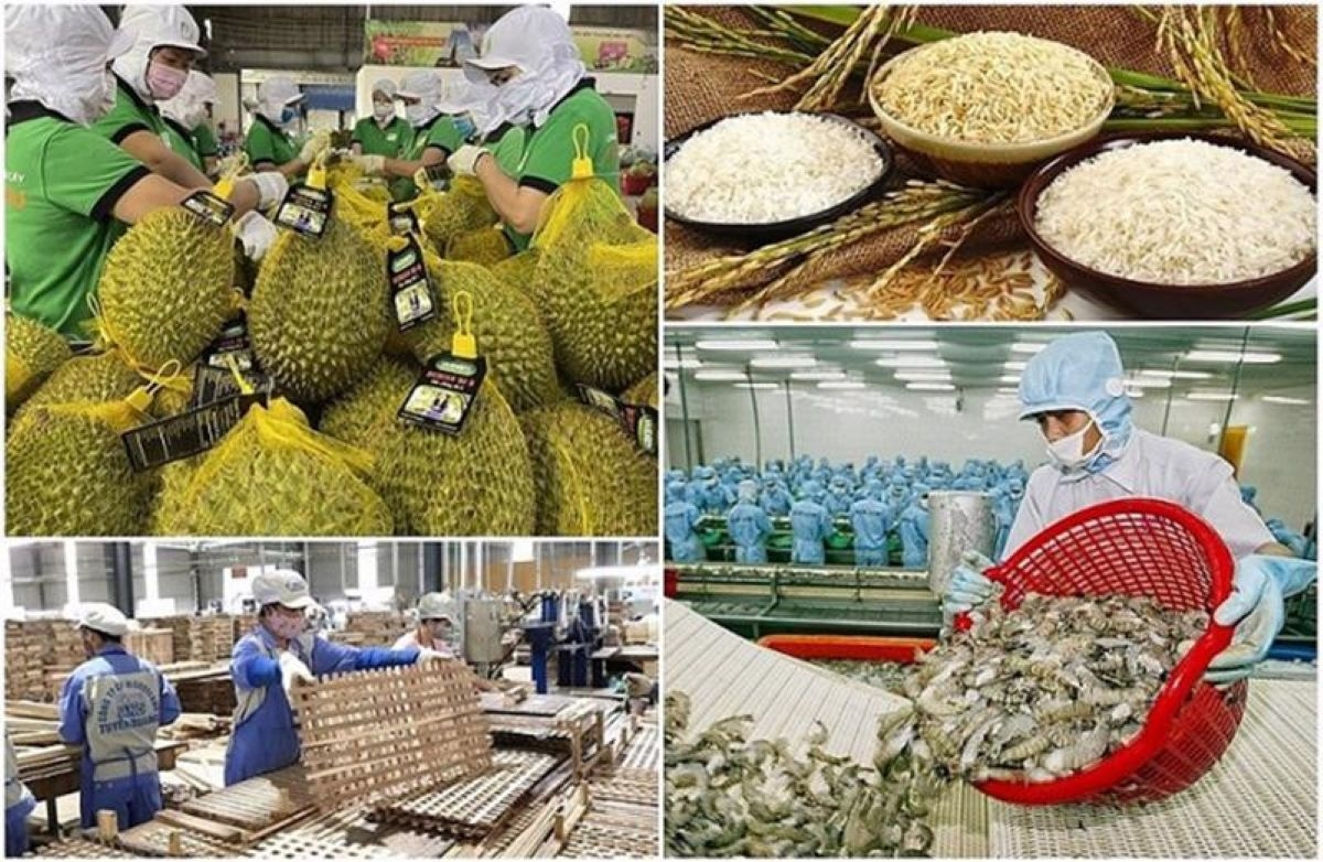 Ng&agrave;nh n&ocirc;ng nghiệp chủ động th&iacute;ch ứng với biến động, giữ nhịp tăng trưởng 