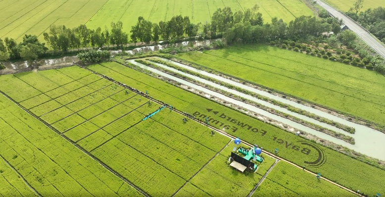 Ng&agrave;nh Trồng trọt bước v&agrave;o giai đoạn ph&aacute;t triển xanh