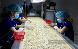 Bộ trưởng L&ecirc; Minh Hoan: Ng&agrave;nh điều trải qua 1 năm đặc biệt, phải n&acirc;ng cao gi&aacute; trị hơn nữa