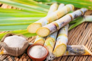Gi&aacute; đường cao lịch sử c&oacute; tạo n&ecirc;n &lsquo;thời điểm v&agrave;ng&rsquo; cho ng&agrave;nh m&iacute;a đường hồi phục?