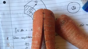 Cơ chế l&atilde;o h&oacute;a của rau củ