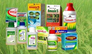 Chỉ thị về giải pháp cấp bách trong quản lý chất lượng vật tư nông nghiệp