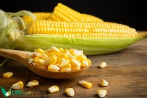 Thị trường cung cấp ng&ocirc; cho Việt Nam 4 th&aacute;ng đầu năm 2022 