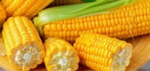 Nhập khẩu ng&ocirc; 10 th&aacute;ng năm 2021 giảm về lượng nhưng tăng kim ngạch