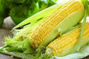 Nhập khẩu ng&ocirc; th&aacute;ng 1/2021 tăng mạnh